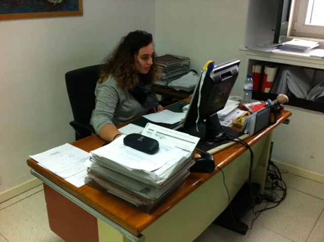 ESS vol2 de300